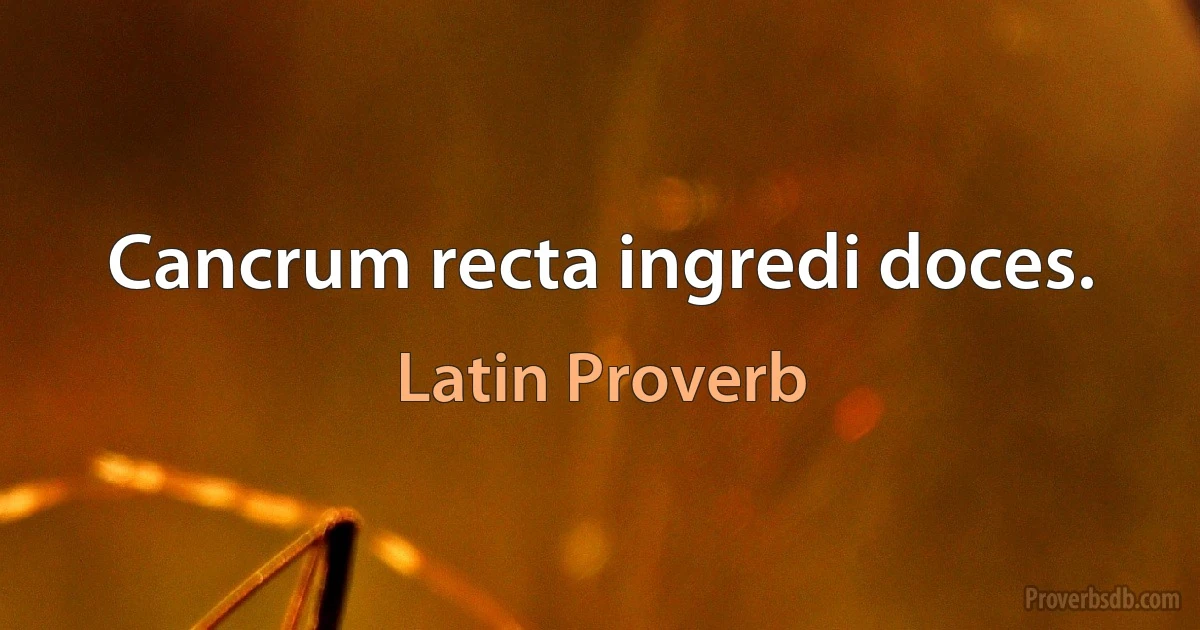 Cancrum recta ingredi doces. (Latin Proverb)