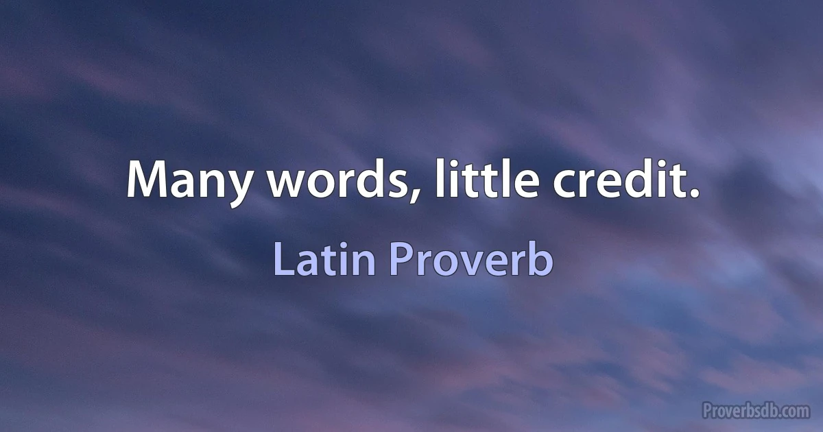 Many words, little credit. (Latin Proverb)