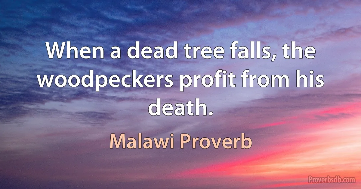 When a dead tree falls, the woodpeckers profit from his death. (Malawi Proverb)