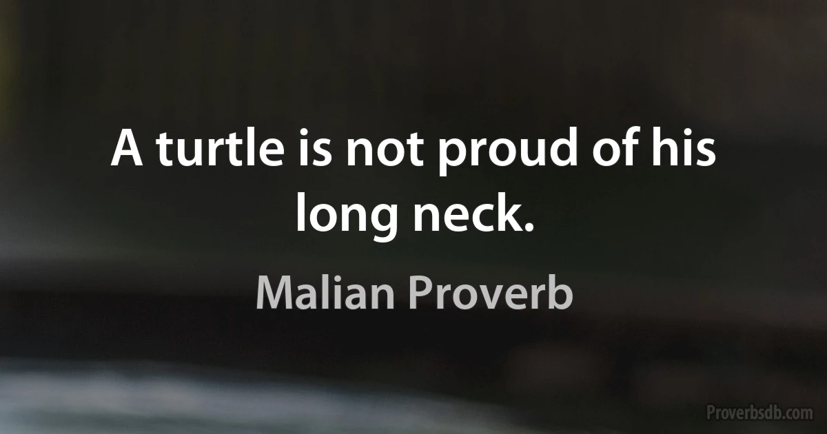 A turtle is not proud of his long neck. (Malian Proverb)