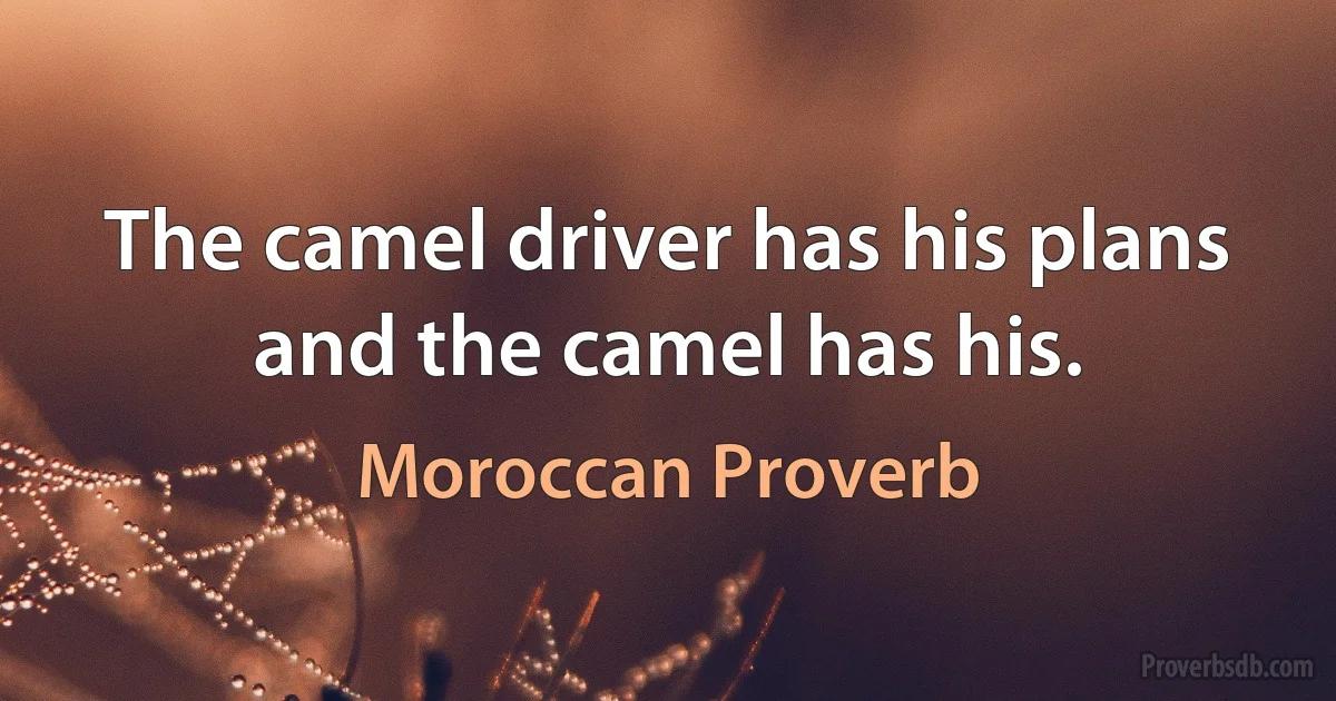 The camel driver has his plans and the camel has his. (Moroccan Proverb)