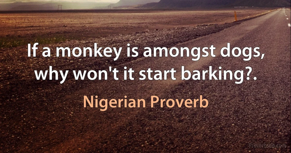 If a monkey is amongst dogs, why won't it start barking?. (Nigerian Proverb)