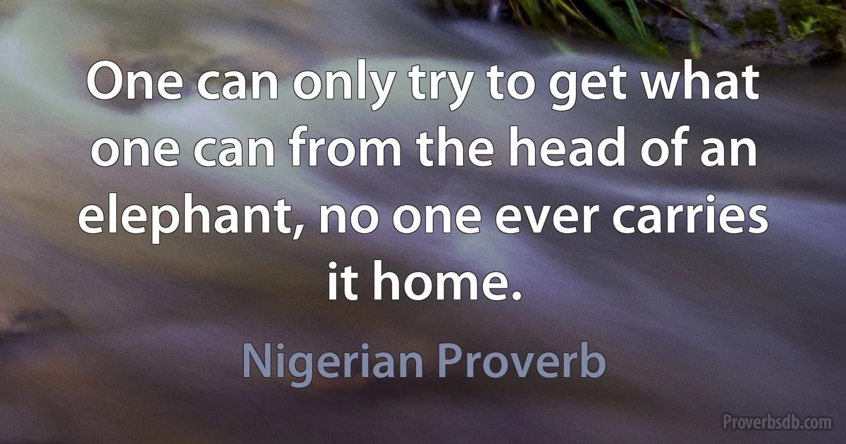 One can only try to get what one can from the head of an elephant, no one ever carries it home. (Nigerian Proverb)