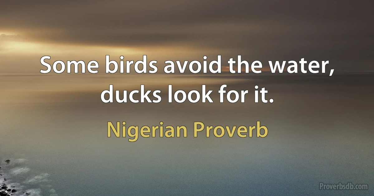 Some birds avoid the water, ducks look for it. (Nigerian Proverb)