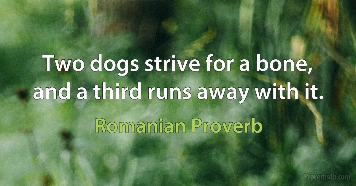 Two dogs strive for a bone, and a third runs away with it. (Romanian Proverb)