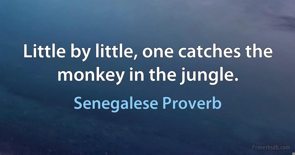 Little by little, one catches the monkey in the jungle. (Senegalese Proverb)