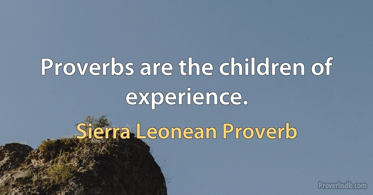 Proverbs are the children of experience. (Sierra Leonean Proverb)