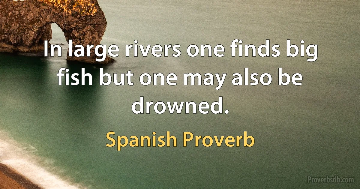 In large rivers one finds big fish but one may also be drowned. (Spanish Proverb)