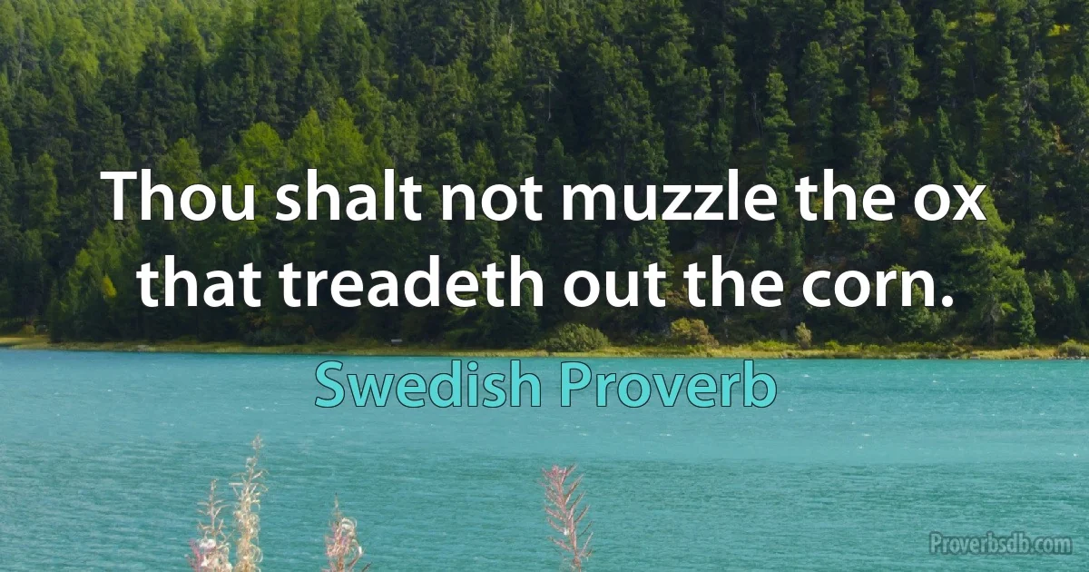 Thou shalt not muzzle the ox that treadeth out the corn. (Swedish Proverb)