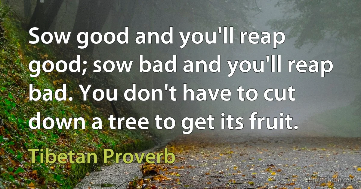 Sow good and you'll reap good; sow bad and you'll reap bad. You don't have to cut down a tree to get its fruit. (Tibetan Proverb)