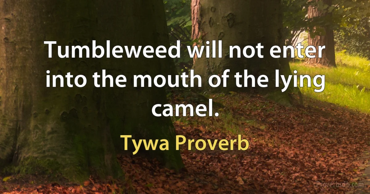 Tumbleweed will not enter into the mouth of the lying camel. (Tywa Proverb)