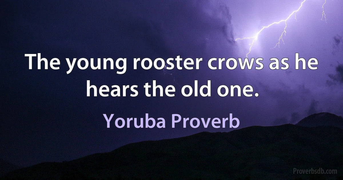 The young rooster crows as he hears the old one. (Yoruba Proverb)