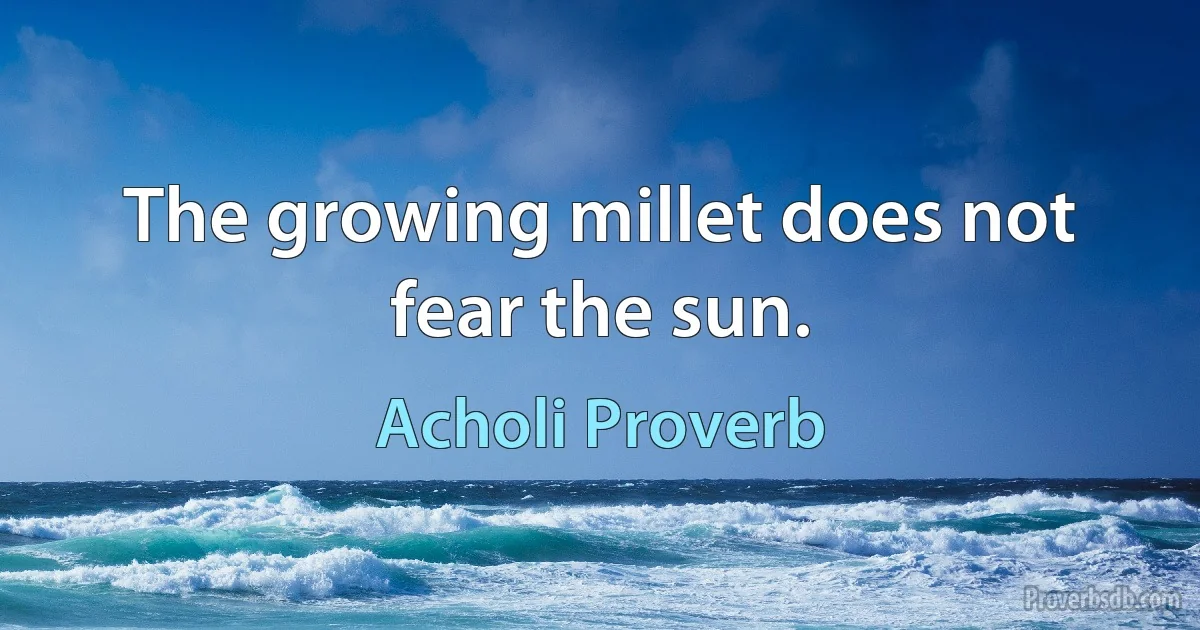 The growing millet does not fear the sun. (Acholi Proverb)