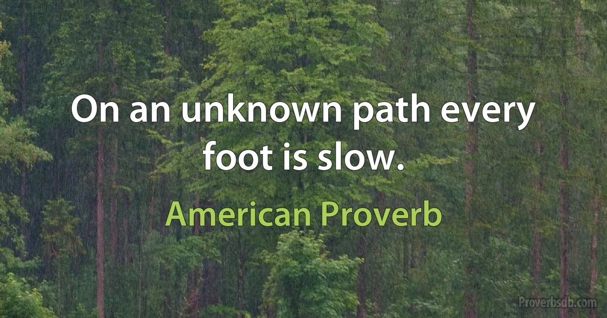 On an unknown path every foot is slow. (American Proverb)