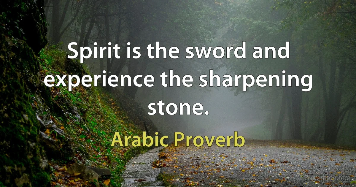 Spirit is the sword and experience the sharpening stone. (Arabic Proverb)