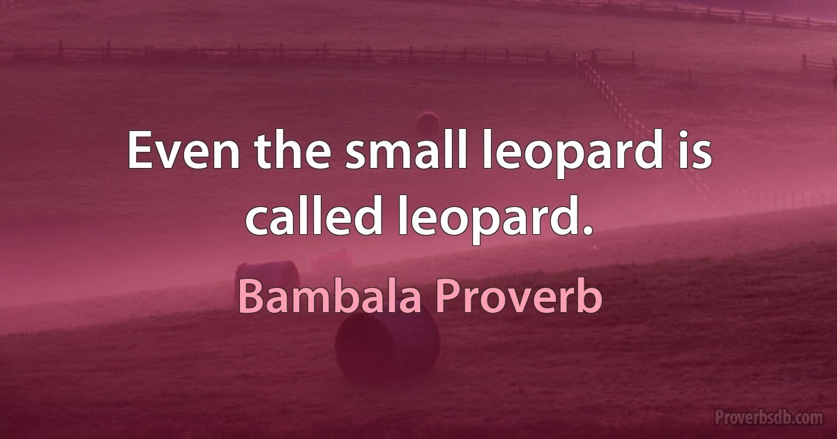 Even the small leopard is called leopard. (Bambala Proverb)