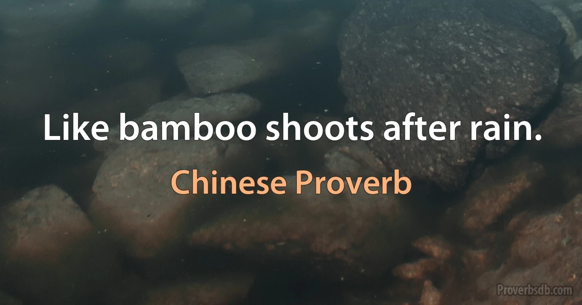 Like bamboo shoots after rain. (Chinese Proverb)