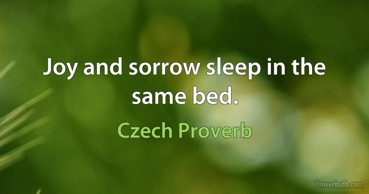 Joy and sorrow sleep in the same bed. (Czech Proverb)