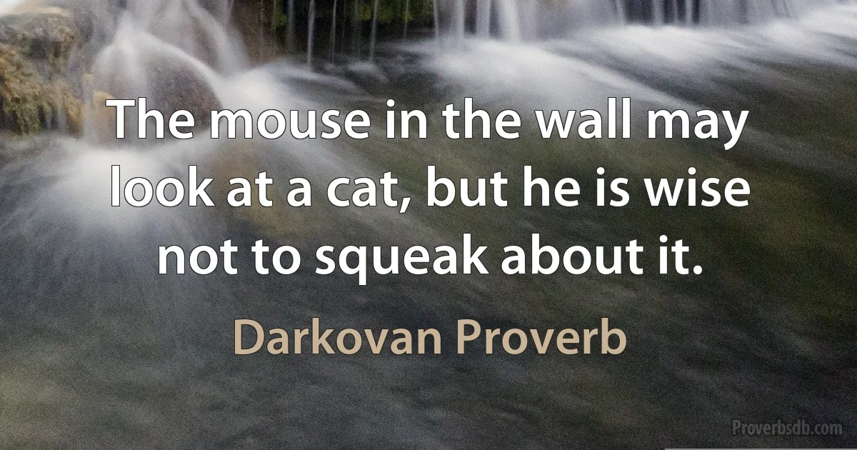 The mouse in the wall may look at a cat, but he is wise not to squeak about it. (Darkovan Proverb)