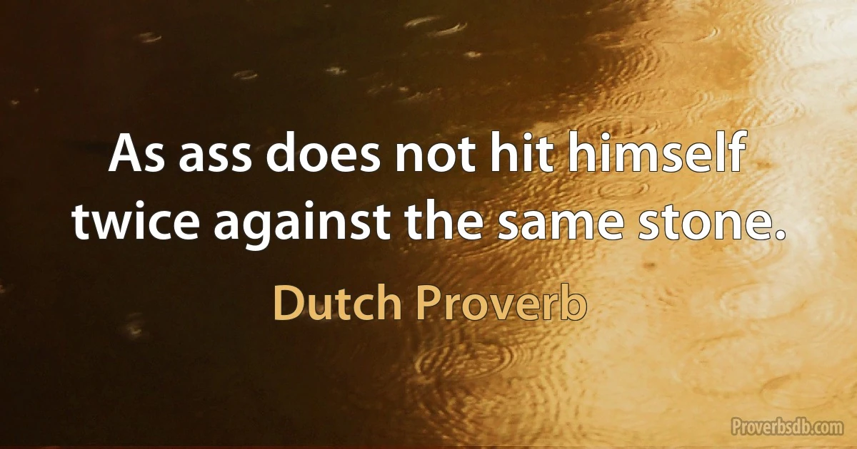 As ass does not hit himself twice against the same stone. (Dutch Proverb)