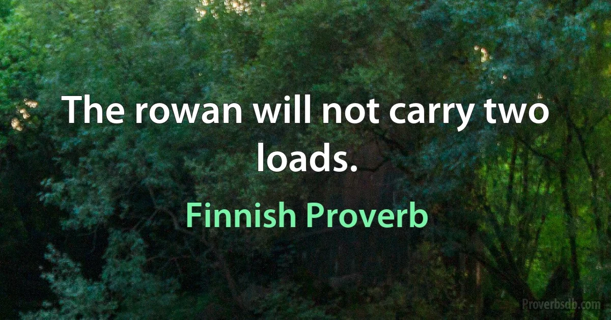 The rowan will not carry two loads. (Finnish Proverb)