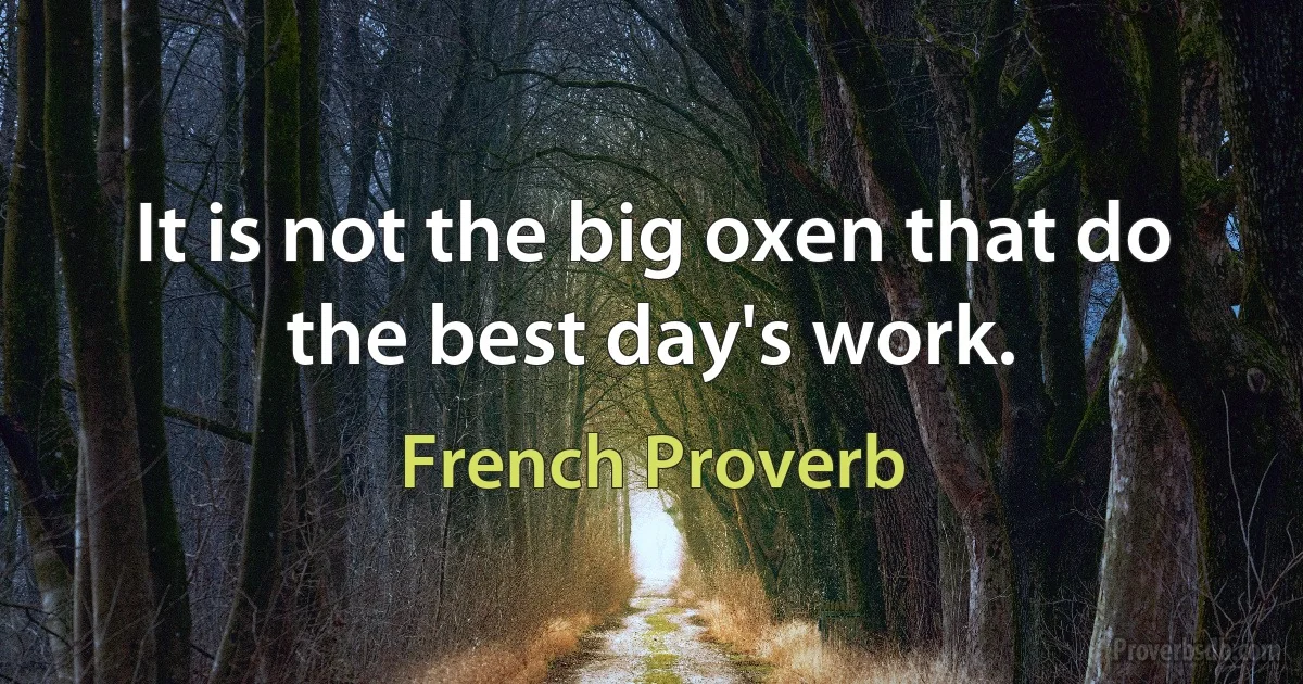 It is not the big oxen that do the best day's work. (French Proverb)