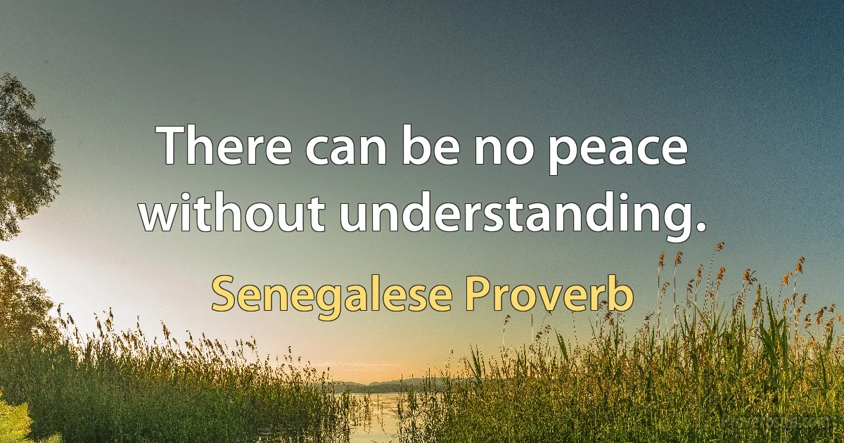 There can be no peace without understanding. (Senegalese Proverb)