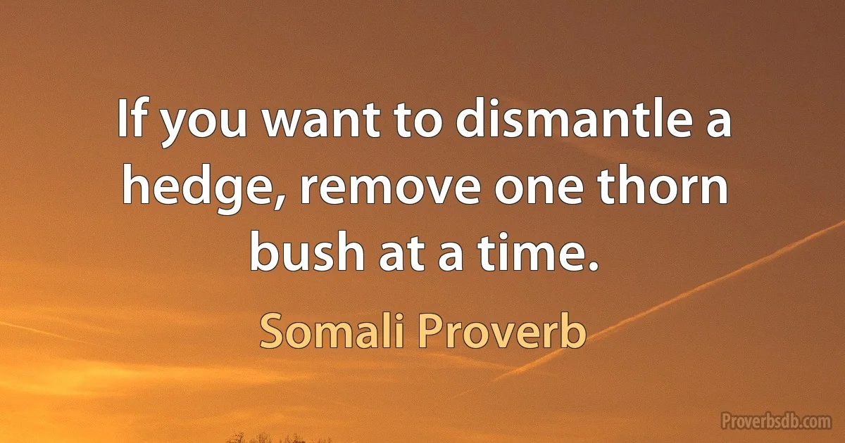 If you want to dismantle a hedge, remove one thorn bush at a time. (Somali Proverb)