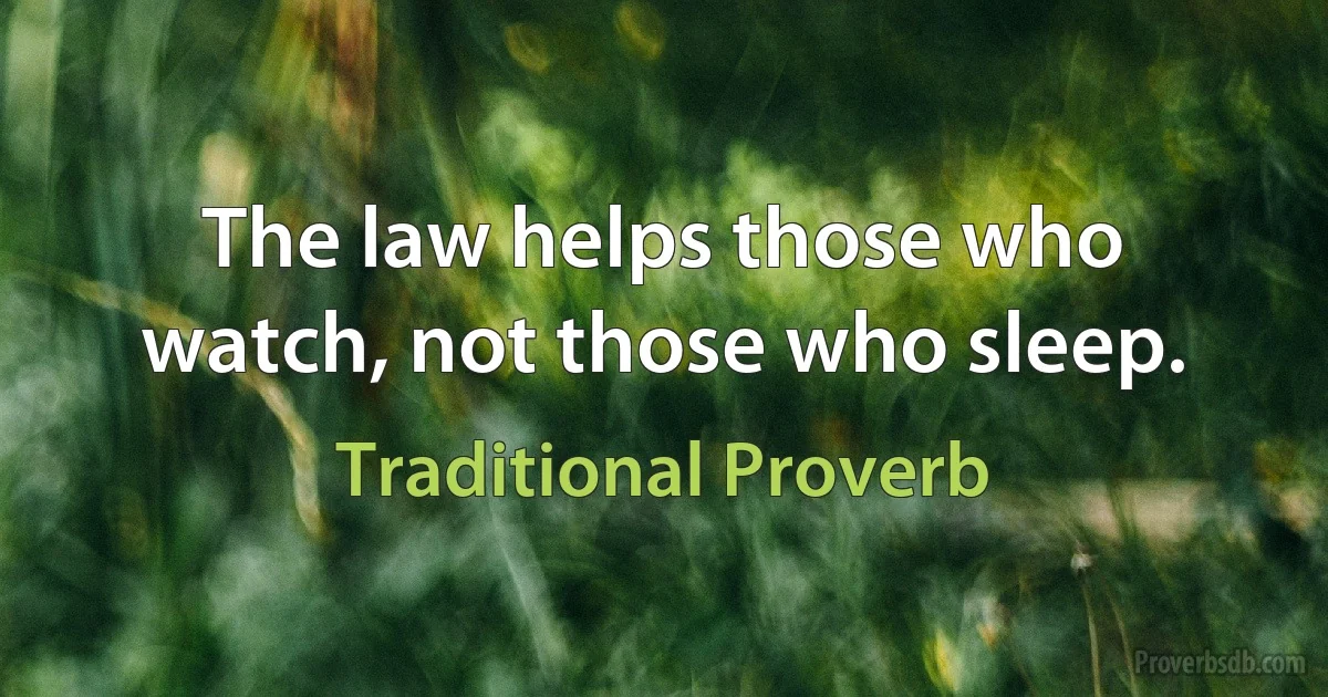 The law helps those who watch, not those who sleep. (Traditional Proverb)