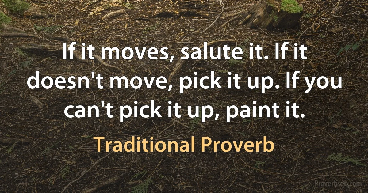 If it moves, salute it. If it doesn't move, pick it up. If you can't pick it up, paint it. (Traditional Proverb)