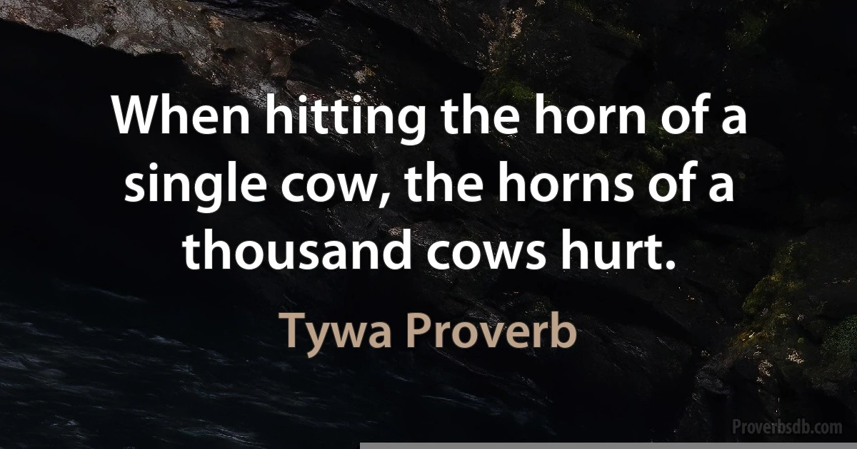 When hitting the horn of a single cow, the horns of a thousand cows hurt. (Tywa Proverb)