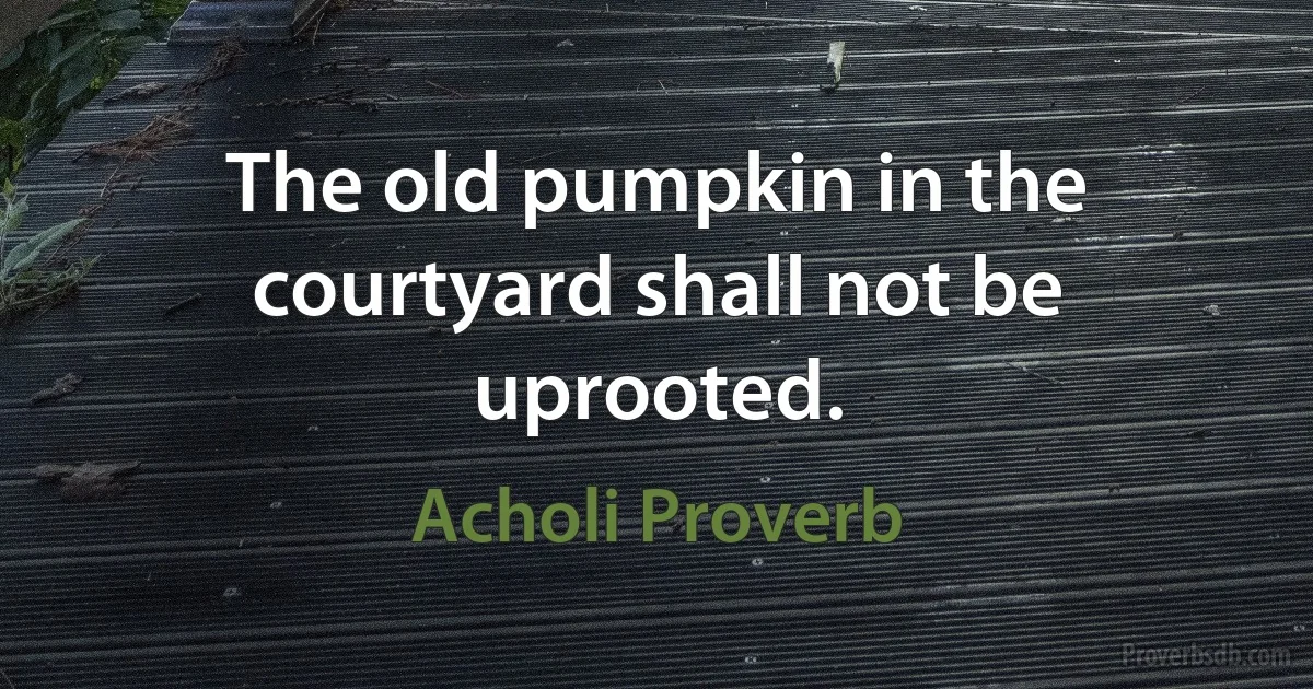 The old pumpkin in the courtyard shall not be uprooted. (Acholi Proverb)