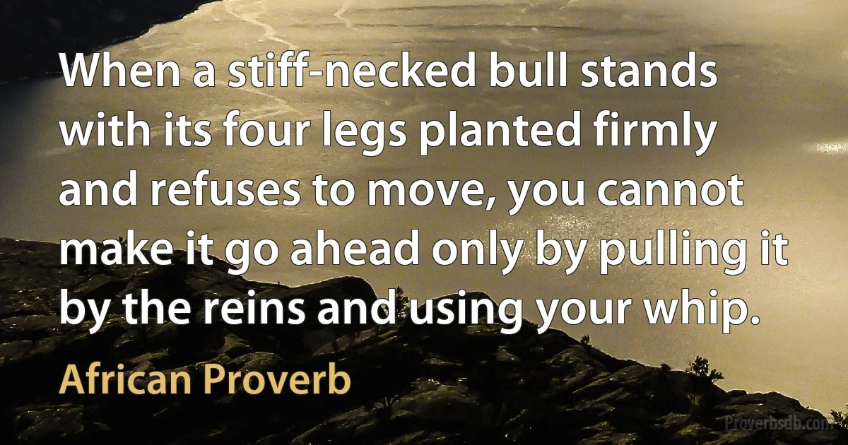 When a stiff-necked bull stands with its four legs planted firmly and refuses to move, you cannot make it go ahead only by pulling it by the reins and using your whip. (African Proverb)