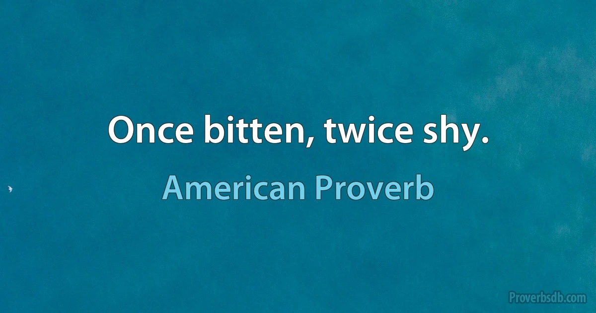 Once bitten, twice shy. (American Proverb)