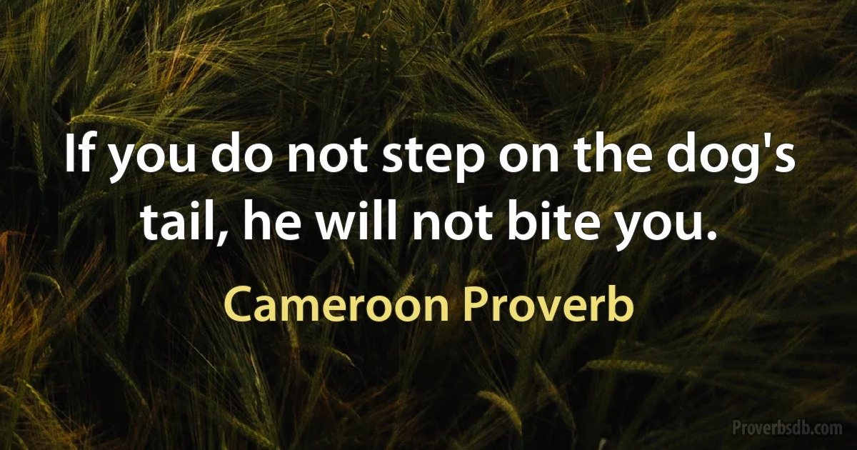 If you do not step on the dog's tail, he will not bite you. (Cameroon Proverb)