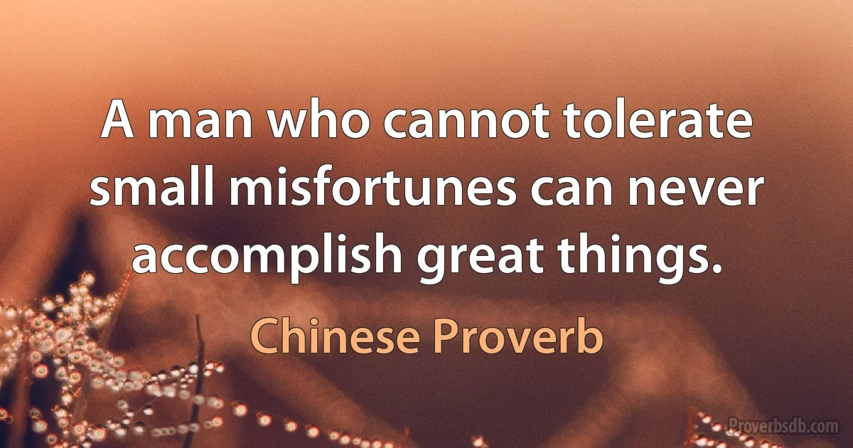 A man who cannot tolerate small misfortunes can never accomplish great things. (Chinese Proverb)