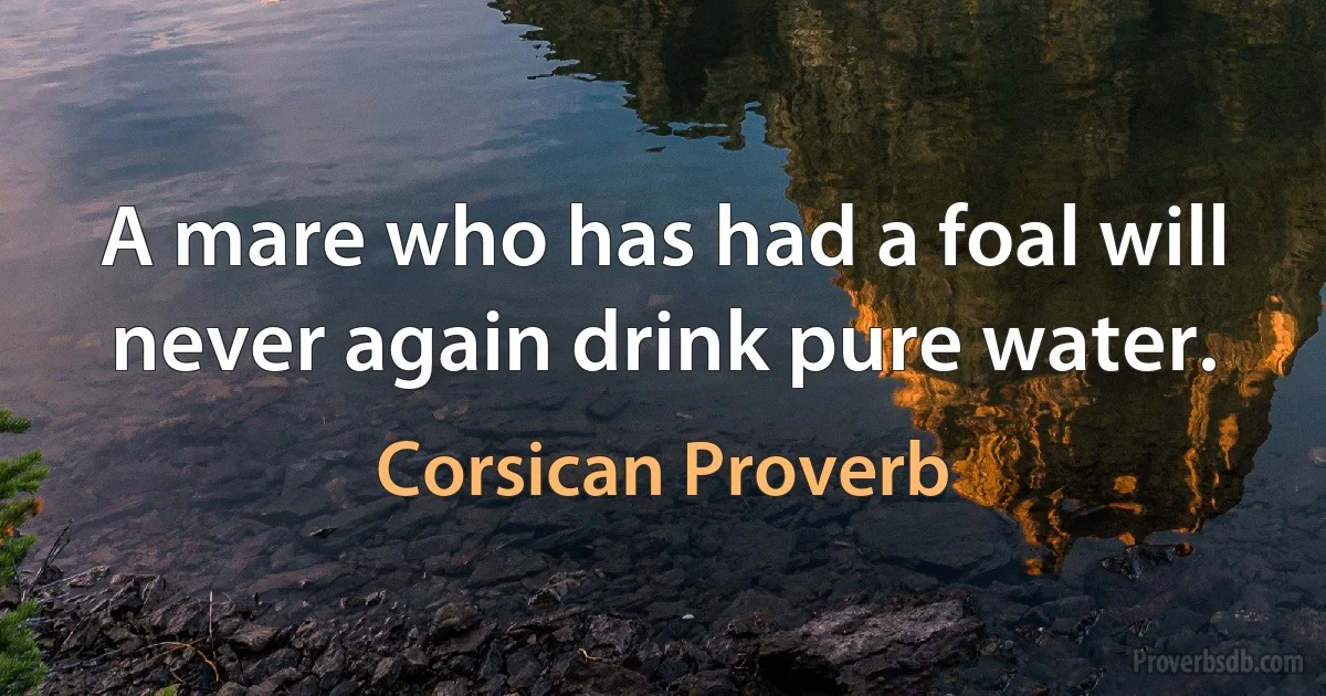 A mare who has had a foal will never again drink pure water. (Corsican Proverb)