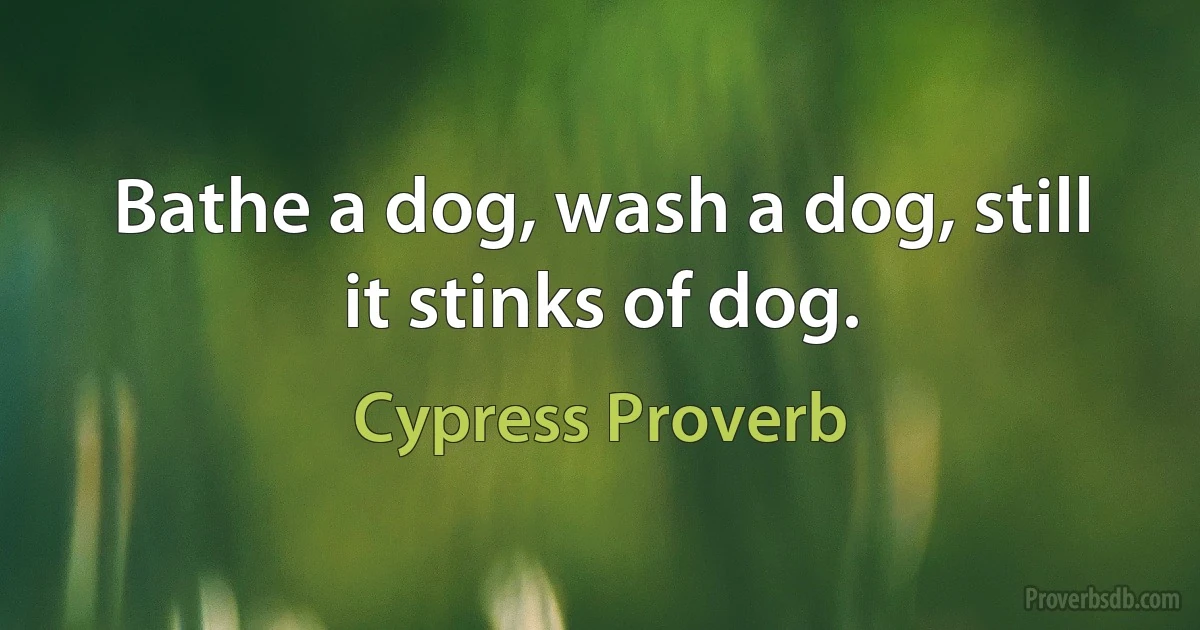 Bathe a dog, wash a dog, still it stinks of dog. (Cypress Proverb)