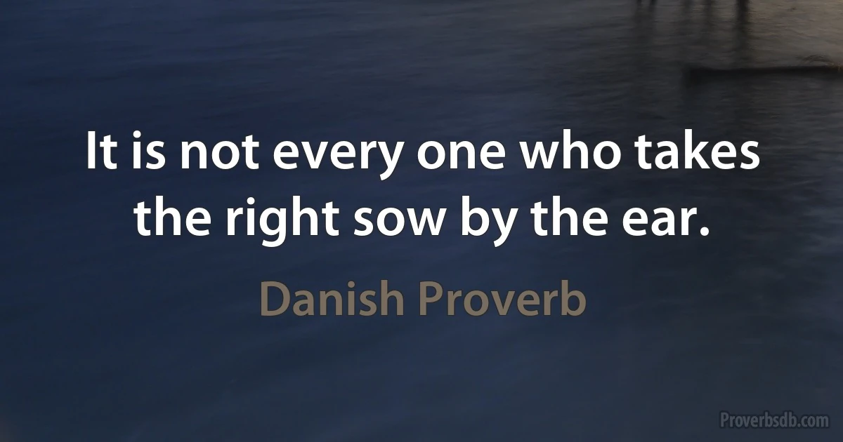 It is not every one who takes the right sow by the ear. (Danish Proverb)