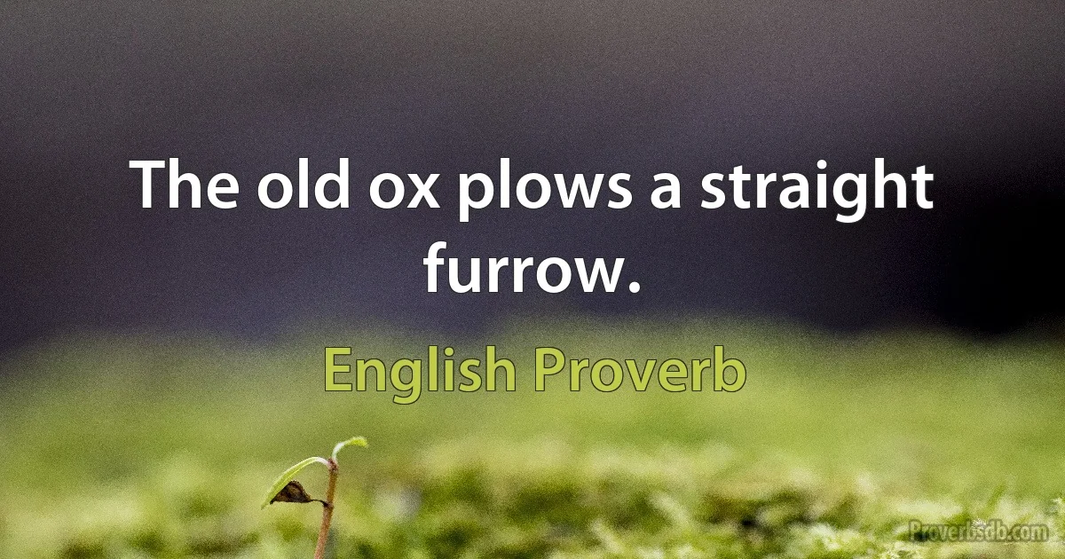 The old ox plows a straight furrow. (English Proverb)