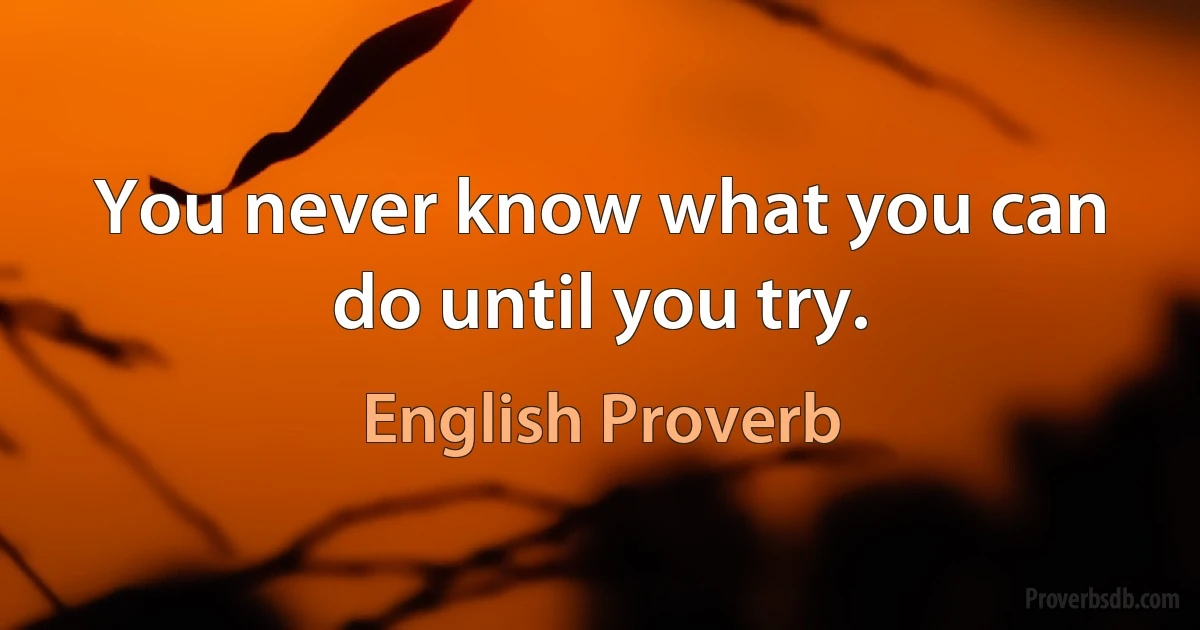 You never know what you can do until you try. (English Proverb)