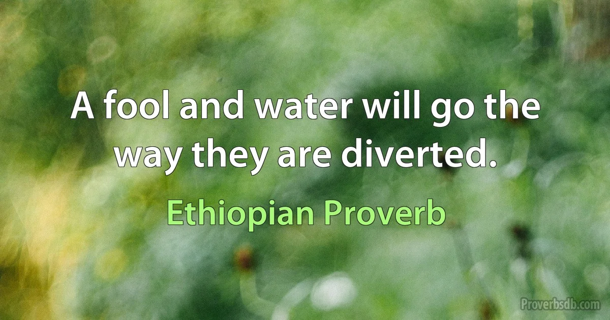 A fool and water will go the way they are diverted. (Ethiopian Proverb)