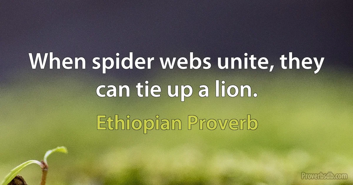 When spider webs unite, they can tie up a lion. (Ethiopian Proverb)