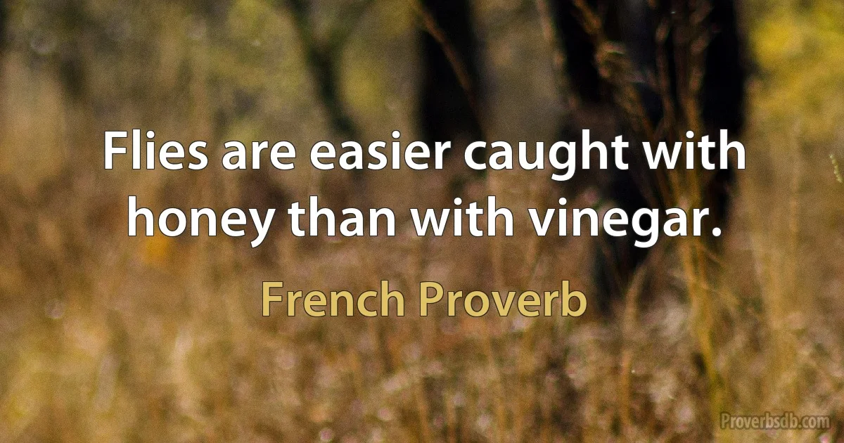 Flies are easier caught with honey than with vinegar. (French Proverb)