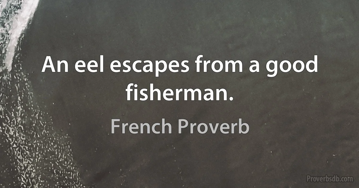 An eel escapes from a good fisherman. (French Proverb)