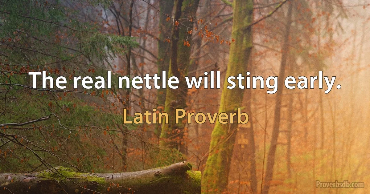 The real nettle will sting early. (Latin Proverb)