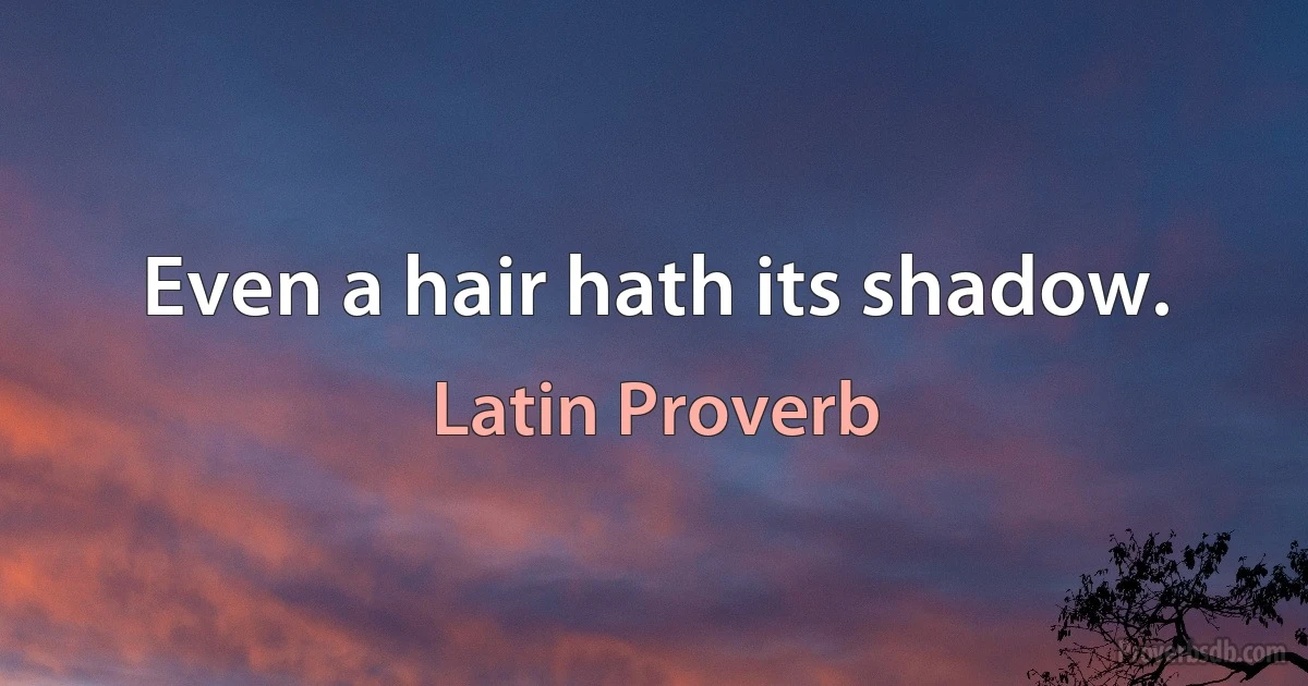 Even a hair hath its shadow. (Latin Proverb)