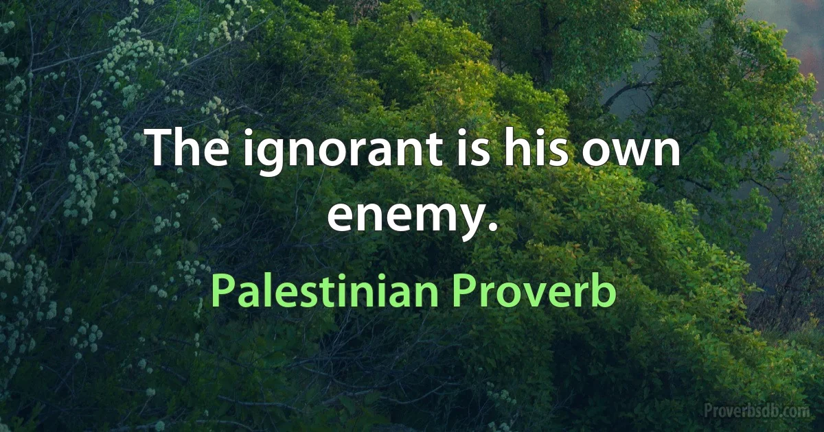 The ignorant is his own enemy. (Palestinian Proverb)