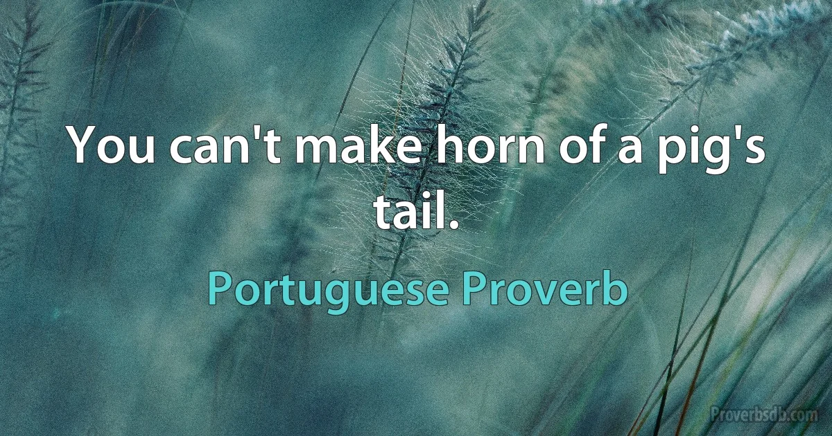 You can't make horn of a pig's tail. (Portuguese Proverb)