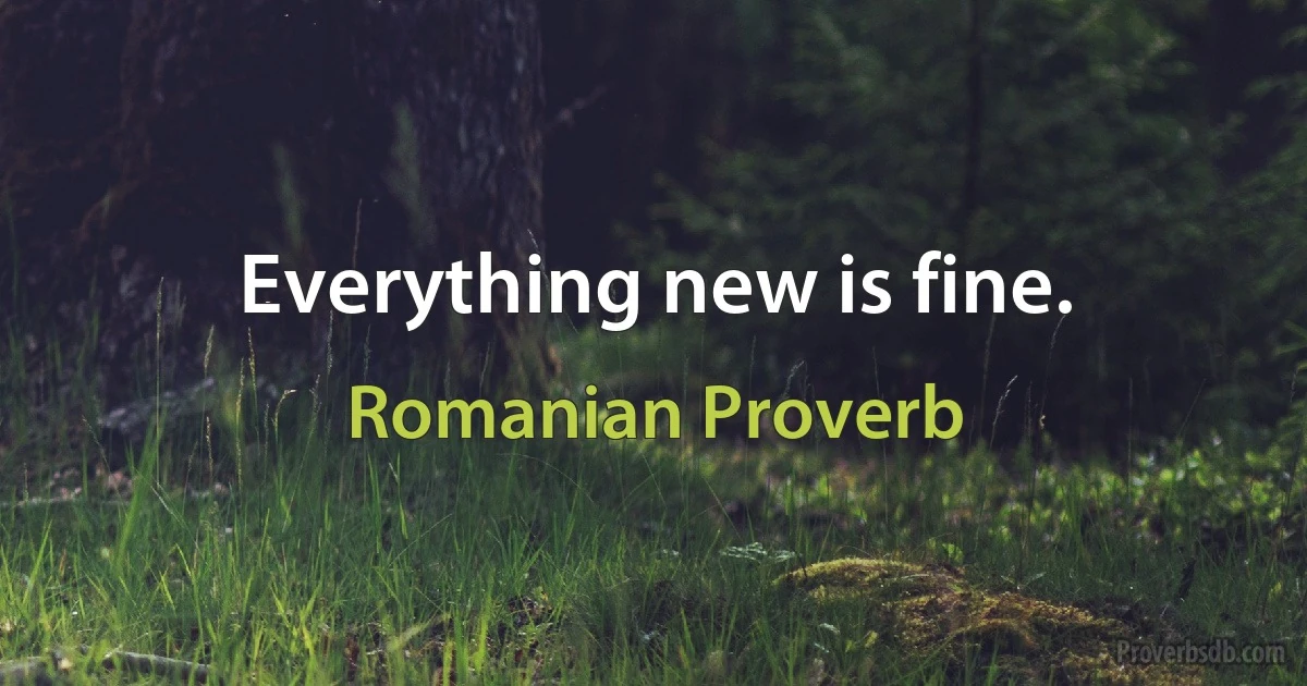 Everything new is fine. (Romanian Proverb)